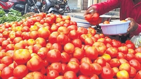 Centre blames heavy rain for tomato price spike in Delhi, says rates now easing with improved supply