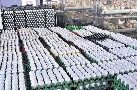 Exporters say if the tariff hike had not happened, shipments could have continued for a few more months, at least until US production picked up, helping them build steady buyer relationships.