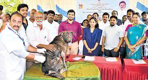 Court summons GCC official, seeks plan to deal with dog menace in public places
