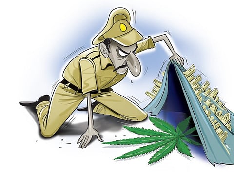 Dog squads, raids: Bengaluru cops intensify action on drug menace