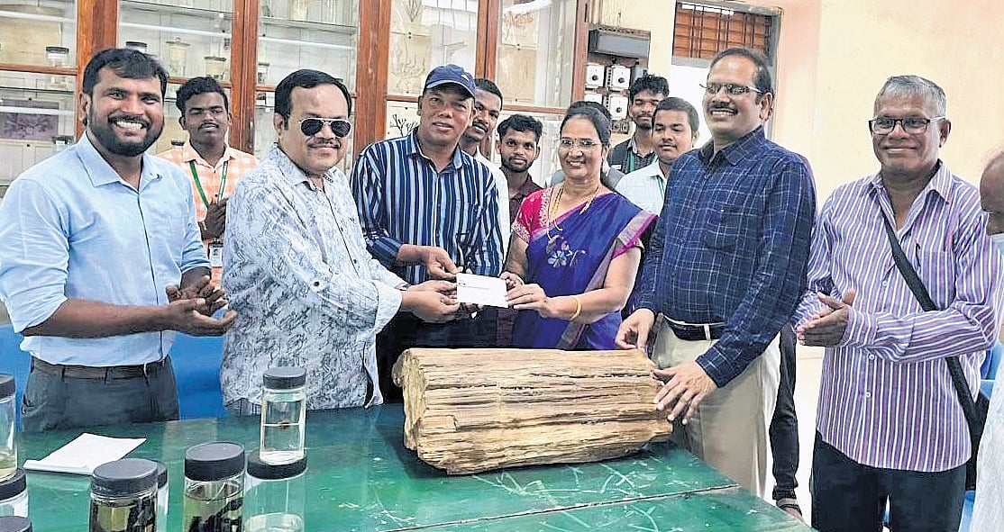 Jurassic era fossil wood donated to AU Museum