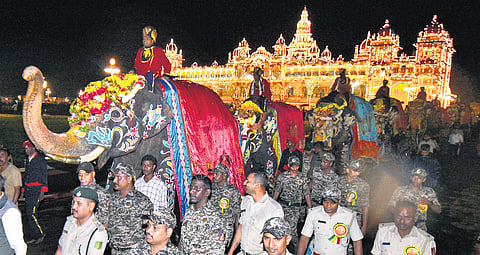 Nine Dasara elephants get ceremonial welcome at Mysuru Palace 