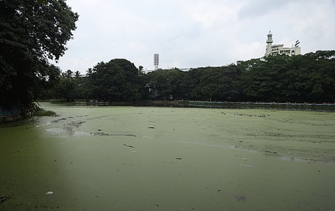 The lake at Public Gardens in Hyderabad