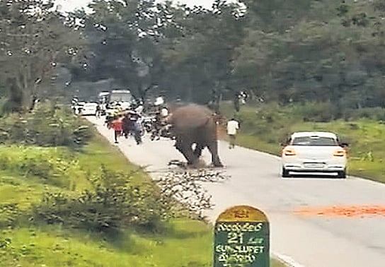 Unknown Source - Other - News Image