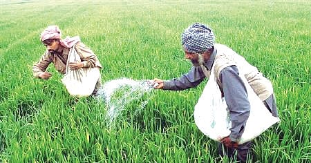 He informed that against the sanctioned allocation of 6,22,000 MT for Kharif 2025, the State has received only 2,75,774 MT till July, resulting in a shortfall of 28,696 MT. 