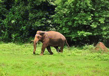 Image used for representation