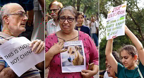 Animal lovers conducted a demonstration for stray dogs at Connaught Place, in New Delhi, Tuesday, Aug. 12, 2025.