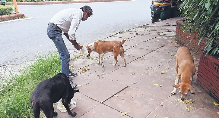 The New Indian Express - Politics - News Image