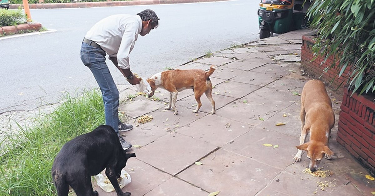 The New Indian Express - Politics - News Image