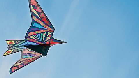 Exploring freedom, from Savarkar to Che and Bharathiyar to Bob Marley 