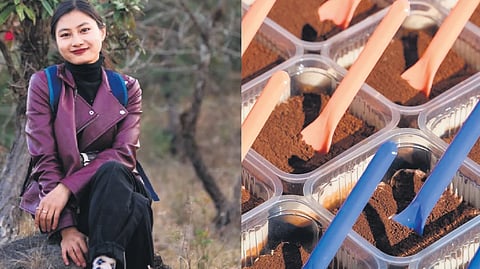 Pamreiwon Shokwungnao