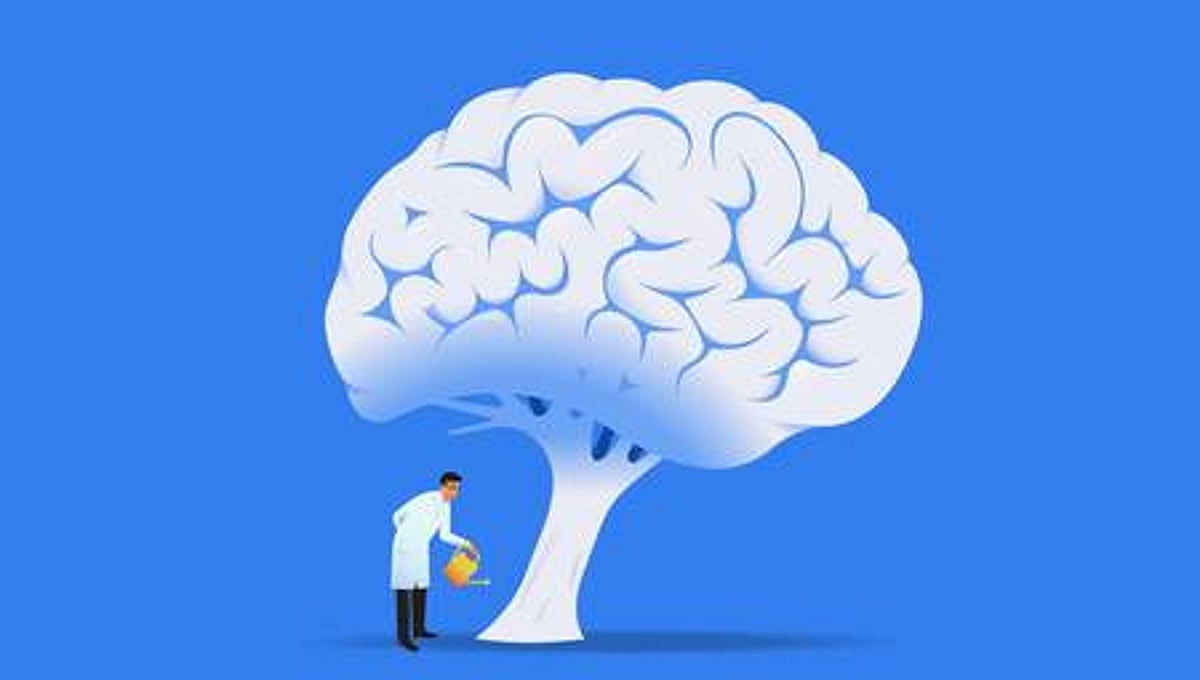 WHO warns of global brain health crisis as neurological disorders claim 11 million lives annually WHO warns of global brain health crisis as neurological disorders claim 11 million lives annually