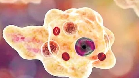 DMO K K Rajaram said an investigation is under way to confirm this potential link. 