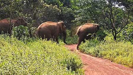 Image used for representative purpose.