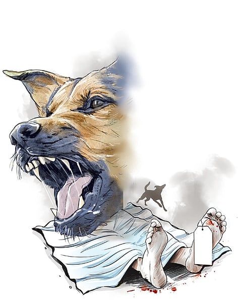 Local sources said that the woman had got the dog a year ago for guarding her house.