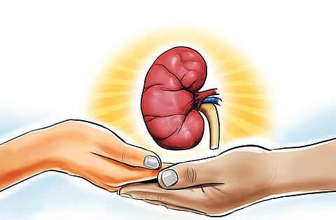 Recently, an organ racket that had targeted a group of handloom workers by luring them to sell their kidneys was busted in Namakkal district.