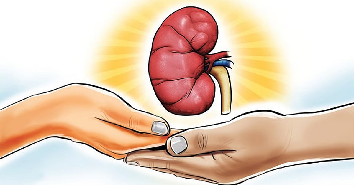 The New Indian Express - Other - News Image