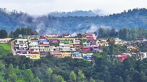 Photo for representation