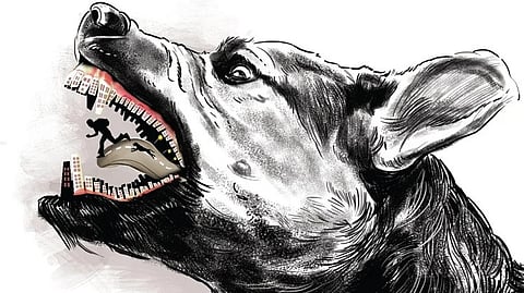 When contacted, the doctors at the hospital told the TNIE there were dog-bite injuries to the head and face of the baby. 