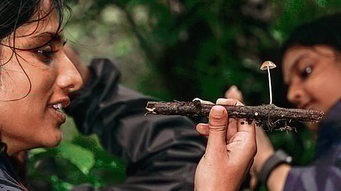 Foraging enthusiats obseving mushrooms
