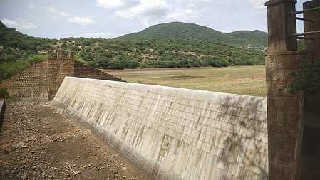 Representative image of a check dam