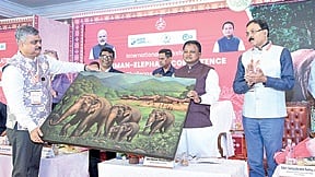 CM Mohan Charan Majhi being presented with a painting of an elephant herd.