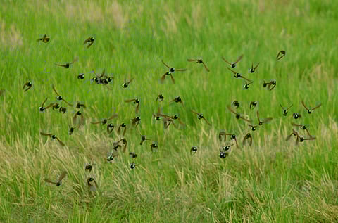 Image used for representational purposes.