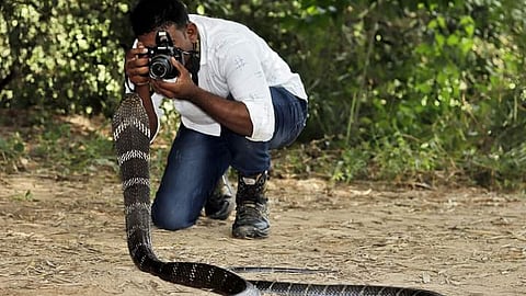 The duo had visited Kodagu early this month to photograph a king cobra which was rescued locally. 