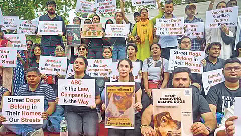 A view of the Supreme Court of India in New Delhi.