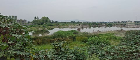 The Thuraimangalam lake spread on about 150 acres is located near the Three-Junction Road in Perambalur.