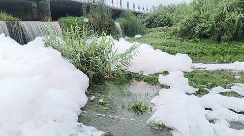 Pollution from leather industry effluents flows into the Palar River in Tirupathur, Tamil Nadu.