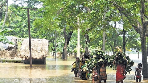 Locals said with Baitarani river flowing above the danger mark, strong currents battered the weak points of Kani river embankment, eventually causing it to collapse.