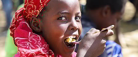 Geopolitical conflicts derail global fight against hunger amid climate threats, scientists warn