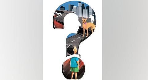 As per the 2019 Livestock Census, AP had 8.64 lakh dogs, with 4.72 lakh being strays. 