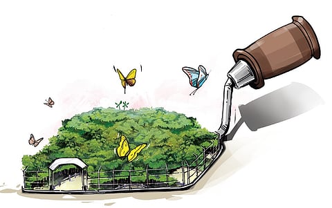 For its baseline year of 2024, Chennai scored 38 out of 72 points across 18 indicators. While the score highlights areas for improvement, the city also demonstrated strong ecological resilience.