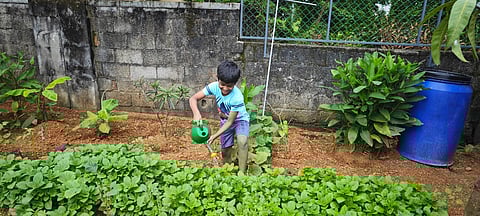 Kochi Class 2 ‘farmer’ creates green paradise in concrete jungle