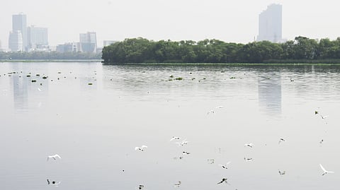 Yamuna river