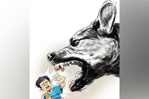 Image used for representation purposes only.