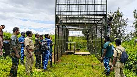 A large cage set up to trap a tiger at Devarsholai near Gudalur.