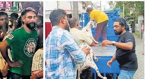 Sudheesh in the crowd during the Athachamayam procession. (R) Dogs being rescued by the SPCA volunteers