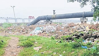 Garbage lying scattered along Mahanadi riverbank near Jobra Park in Cuttack