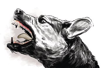 Representative image