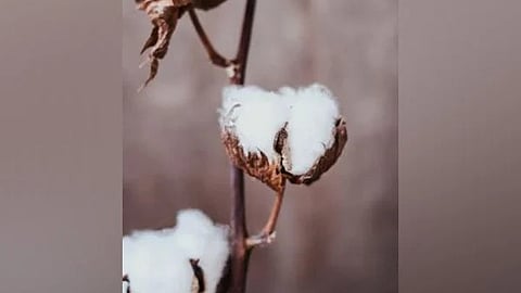 The textiles industry, which had earlier termed the 40-day import window insufficient, is now preparing for large-scale imports.