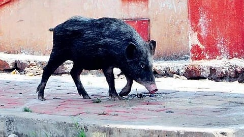 District Health Officer Dr SS Mahesh said a team of doctors reached Hebburi village on Friday and tested people for any infection. 