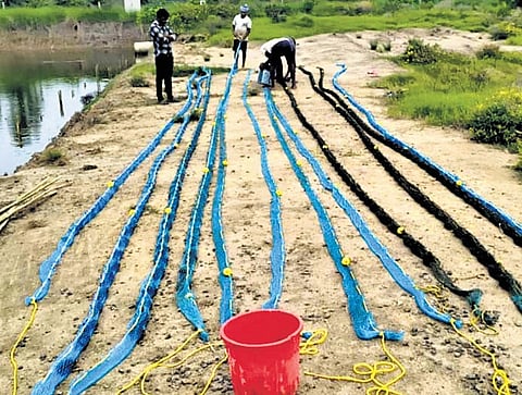 Moolapolam seaweed is in high demand in the open market and are being procured by Uday Aquaculture Company, which partnered with the women farmers when the project was launched on an experimental basis in the State.
