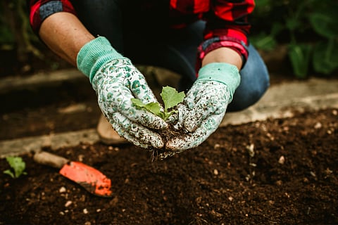 The Ultimate Garden Planning Playbook
