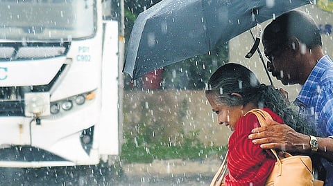 The distribution of rainfall has varied significantly across the State, with Rayalaseema districts witnessing higher departures. 