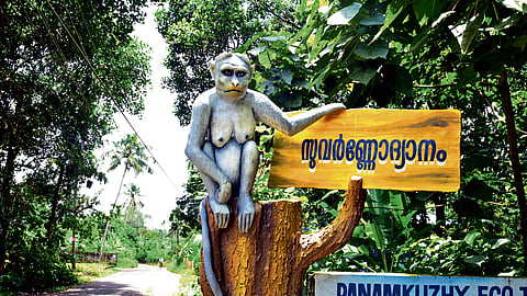 A 'hidden' bio-park near Kochi airport 