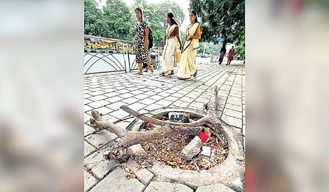 A damaged silt catchment pit near Quaid-E-Millath College.