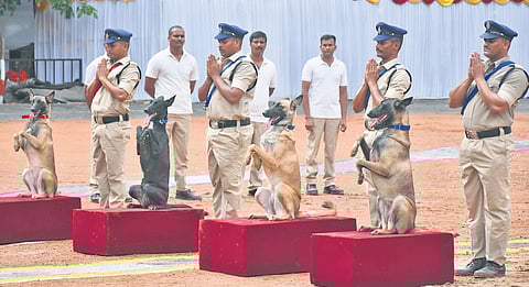 Police dogs and handlers during the 22nd batch passing out parade at the 6th APSP battalion ground in Mangalgiri on Tuesday | Prasant Madugula